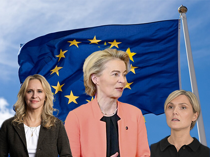 Grafið undan EES með grófu broti