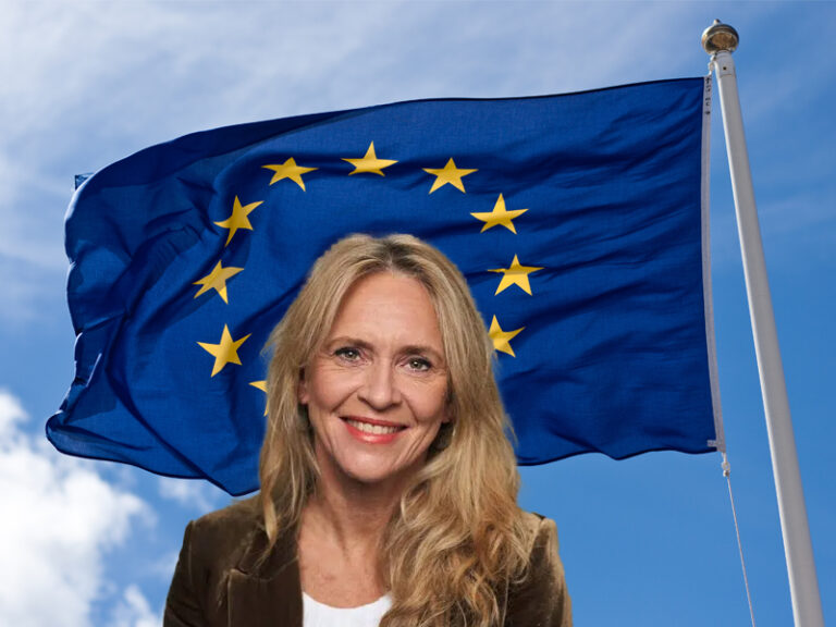 Tillaga um þjóðaratkvæði ekki á þingmálaskrá