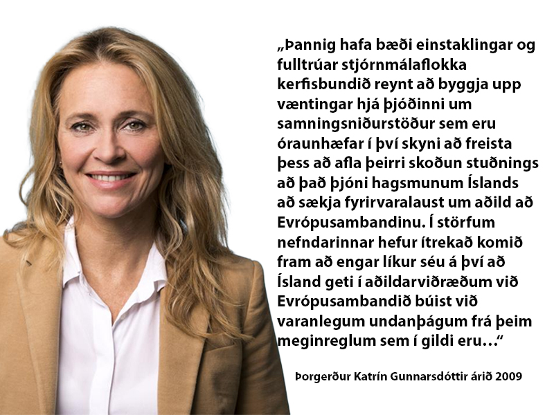 Engar líkur á varanlegum undanþágum frá ESB